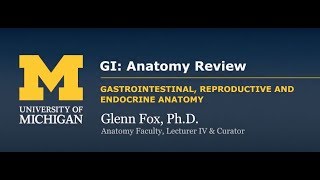 GI Anatomy Review [upl. by Retswerb]