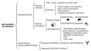 Inmunología 01  Mecanismos de defensa inespecíficos y específicos [upl. by Yelahs]