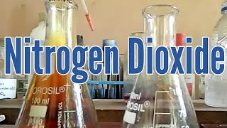 Nitrogen Dioxide  preparation and properties [upl. by Alick]