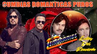 Los Temerarios Cumbias Románticas Puros Exitazos del Recuerdo  Los Temerarios Cumbias Mix [upl. by Rusticus42]