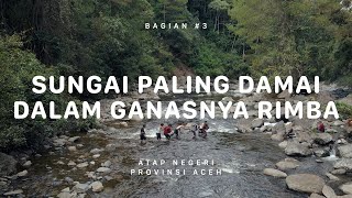 GUNUNG LEUSER  Atap Negeri Aceh 3 [upl. by Glimp44]