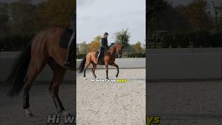 Recovery Training in Canter [upl. by Lyndy816]