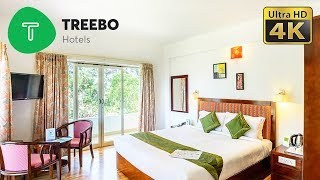 DIY Travel Reviews  Treebo Hotels Indias Top Budget Hotels [upl. by Lasorella]