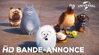 Comme Des Bêtes  Bandeannonce officielle 2 VOST Au cinéma le 27 juillet 2016 [upl. by Lonne]