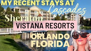 Sheraton Vistana Resort Orlando Florida 2024 [upl. by Enilauqcaj]