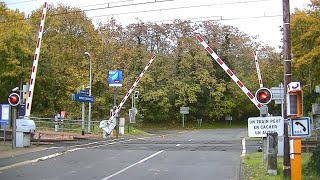 Spoorwegovergang BunoGironville F  Railroad crossing  Passage à niveau [upl. by Anaic]