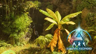 The INDORAPTOR is Guarding the CAVE ARK Survival Ascended Episode 20 [upl. by Ytirahc]