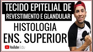 Tecido Epitelial  REVESTIMENTO E GLANDULAR │Aula de Biologia Ensino Superior  Prof Patrick Gomes [upl. by Oiluj]