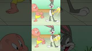 Looney Tunes en Latino shorts  Conejitos en la piscina 🐰🐰 WBKidsLatino​ [upl. by Burke]