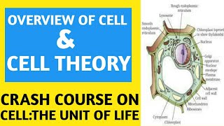 PART 1NCERTCrash CourseCellThe Unit Of LifeOverview Of CellCell TheoryBiologyNEETAIIMS [upl. by Opiak]