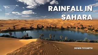 How Sahara Desert will receive a rare amp unexpected rainfall [upl. by Lleder]