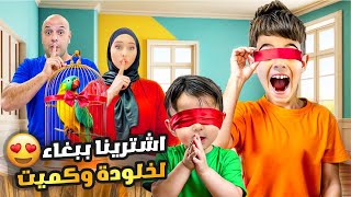 فاجأنا خلودة وكميت بحيوان أليف جديد أشترينالهون ببغاء😲 [upl. by Nisse]