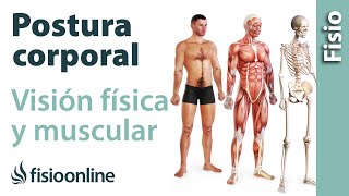 Postura corporal  Visión física y muscular [upl. by Annah]