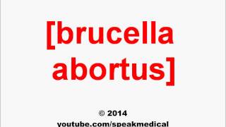 Pronounce Brucella abortus  SpeakMedical [upl. by Leuqar]