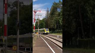 Die RB31 nach Radolfzell fährt in den Bahnhof ÜberlingenTherme ein  shorts [upl. by Bajaj]