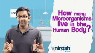 How many Microorganisms live in the Human Body  The SciNirosh Show  Tamil Science [upl. by Eatnoj]