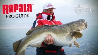 Rapala Pro Guide  Halibut and Cod Fishing at Sørøya [upl. by Yahsram]