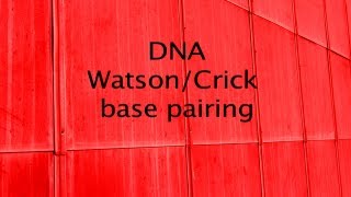 Watson and Cricks Double Helix Model of DNA [upl. by Yanal]