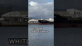 WHITDAWN Tanker Ship at Gibraltar 08 Oct 2024 [upl. by Glenine]