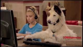 G Hannelius  Dog With A Blog  Season 1 highlights  A collection of clips from every episode [upl. by Anoid822]