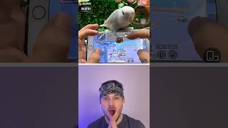 Panda reacts to “Bird Playing Pubg” 🤯 [upl. by Adikam]