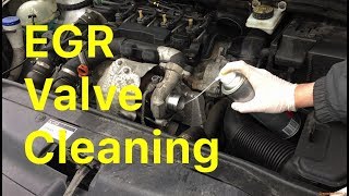 How To Clean an EGR Valve Without Removing It [upl. by Ennovad]