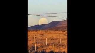 LIVE EL CALAFATE LAGO ARGENTINO PATAGONIA VIVO [upl. by Mariska739]