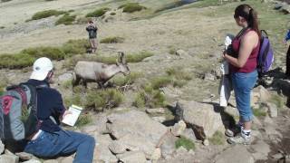 Students Study Ecology in Spain [upl. by Sairacaz]