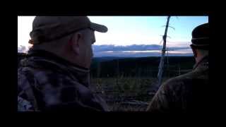 Mathews Bow…Kills Big Old MOOSE [upl. by Dowlen]