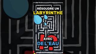 On peut résoudre un LABYRINTHE avec de LEAU  💧 [upl. by Ahcatan776]