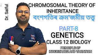 CHROMOSOMAL THEORY OF INHERITANCE  বংশগতিৰ ক্ৰমজমীয় তত্ত্ব  PRINCIPLE OF INHERITANCE amp VARIATION [upl. by Mcleroy]