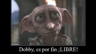 Dobby Es Libre [upl. by Lleneg]