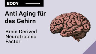 BDNF  Anti Aging für das Gehirn [upl. by Tim]