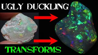 HUGE Transformation Shattered Gem Opal Shell Meet The Dremel Carving Opal Shell Fossil Gem [upl. by Lien]