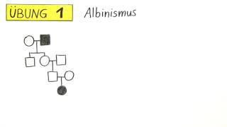 Erstellung und Analyse des Stammbaums  Übung  Biologie  Genetik [upl. by Alenairam98]