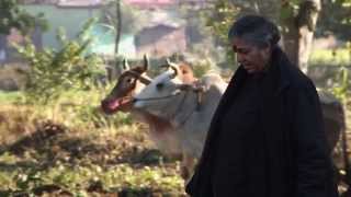 Clips from The Seeds of Vandana Shiva [upl. by Tower793]