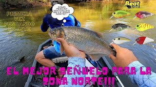 Mejor señuelo para pesca de machaca en la zona norte [upl. by Yazbak417]