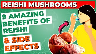 9 Health Benefits of Reishi Mushroom amp Side Effects [upl. by Lavud]