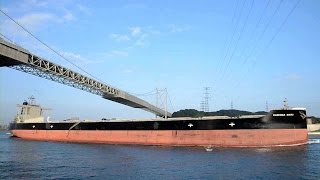 KASHIMA MARU  DAIICHI CHUO MARINE cape size bulk carrier [upl. by Eidson]