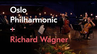 Siegfried Idyll  Richard Wagner  Elise Båtnes  Oslo Phiharmonic [upl. by Dionis383]