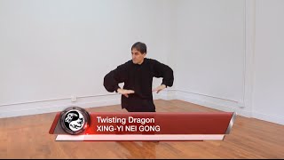 Tom Bisio performs Li Guo Ruis Twisting Dragon Exercise [upl. by Quarta]