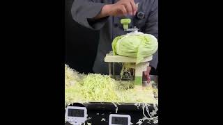 Multifunctional Slicer Chopper Household Shredded Potatoes Slicer And Grater [upl. by Juanne]