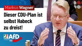 Dieser CDUPlan ist selbst Habeck zu dreist – Markus Wagner AfD [upl. by Rainer541]