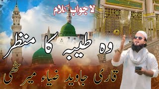 new kalam 2024 vo Roze ki Jali vo Taiba Ka Manzar [upl. by Akinaj]