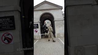 soldier helps the guard to calm down the horse  blues and royals fyp kingsguard horseguards [upl. by Parks]