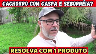 CACHORRO COM CASPA E SEBORRÉIA  RESOLVA COM APENAS 1 PRODUTO [upl. by Enrahs278]