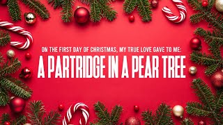 A Partridge in a Pear Tree  12 Days of Christmas [upl. by Ardnuahsal]