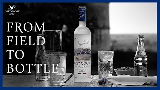 How Vodka Is Made Grey Goose Vodka from Field to Bottle [upl. by Ahseral]