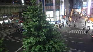 オノデンch【秋葉原ライブカメラ Akihabara live camera】 [upl. by Seften]