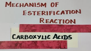 TN 12th STDMechanism of esterification reactioncarboxylic acidsExplanation in TamilVOL 2 [upl. by Dawson]